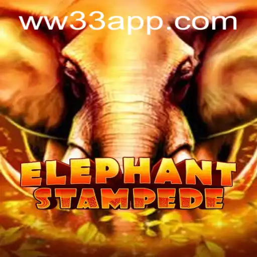 ElephantStampede: Um Mergulho no Mundo Empolgante dos Elefantes